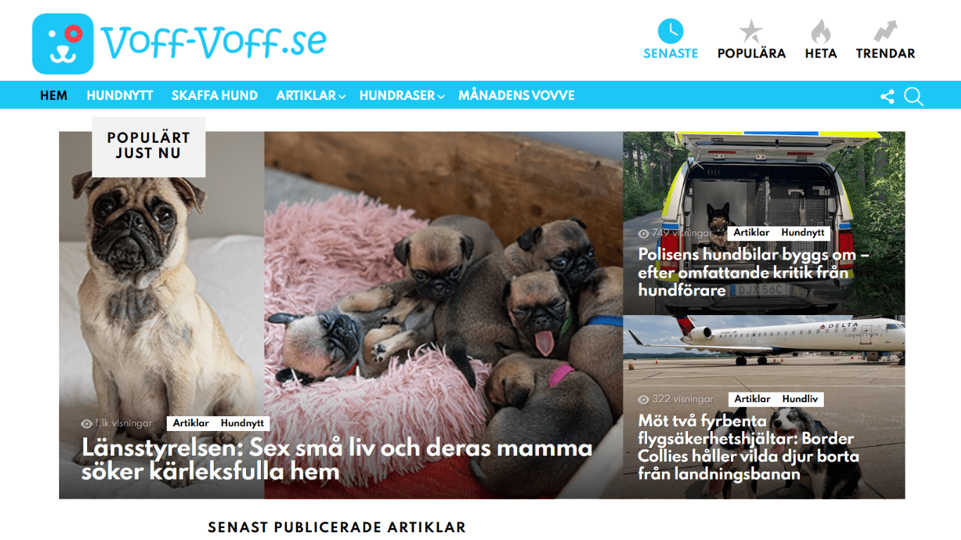 Utvalda projekt av hemsidor som vi byggt 5 Hemsida till en hundblogg.
